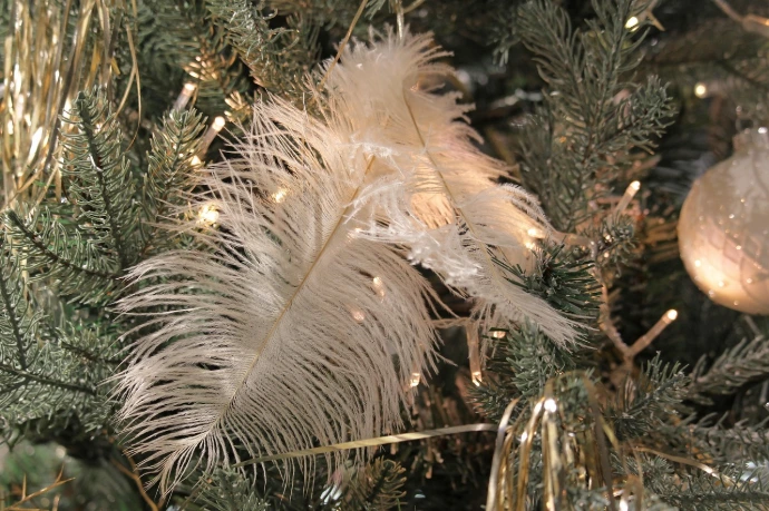 Détail d'une décoration de fête élégante avec de grandes plumes blanches et des guirlandes lumineuses dans un sapin.